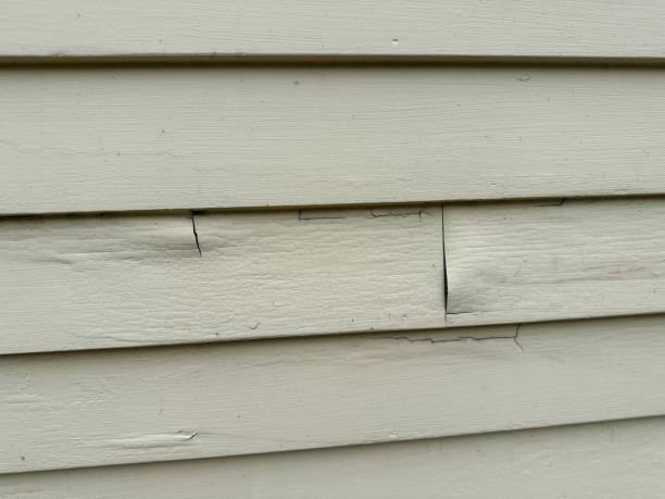 Best Shed Removal  in Bowmanstown, PA